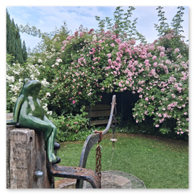 Blick auf die Feuerstelle mit Kantenhocker (Frosch)