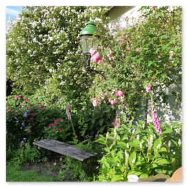 Bank vor der Rosenwand mit Wandlaterne